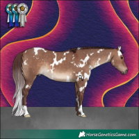 Horse Color:White Spotted Chocolate Brown Dun 