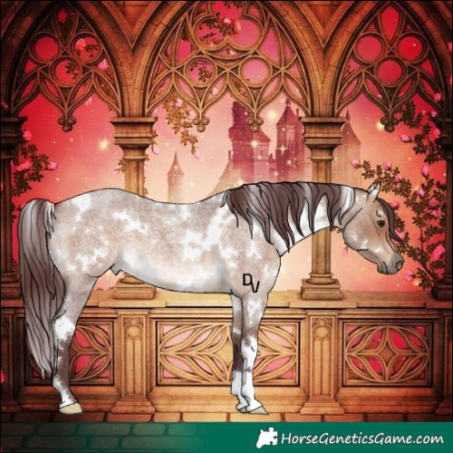 Horse Color:White Spotted Chocolate Brown Roan Dun