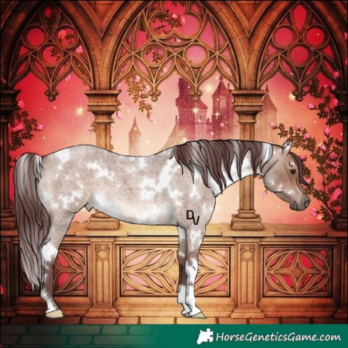 Horse Color:White Spotted Chocolate Brown Roan Dun 