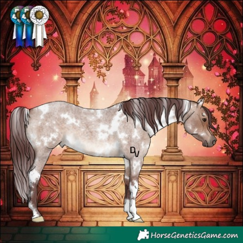 Horse Color:White Spotted Chocolate Brown Roan Dun 