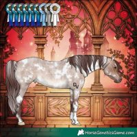 Horse Color:White Spotted Chocolate Brown Roan Dun 