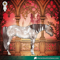Horse Color:White Spotted Chocolate Brown Roan Dun 