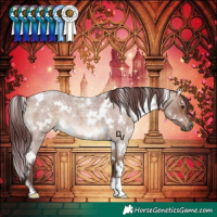 Horse Color:White Spotted Chocolate Brown Roan Dun