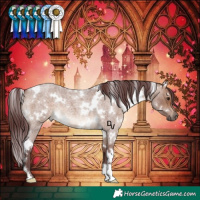 Horse Color:White Spotted Chocolate Brown Roan Dun 