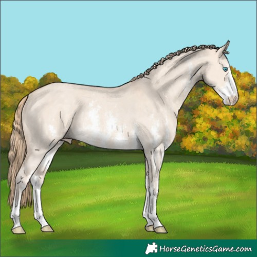 Horse Color:Perlino Dun Sabino Rabicano 