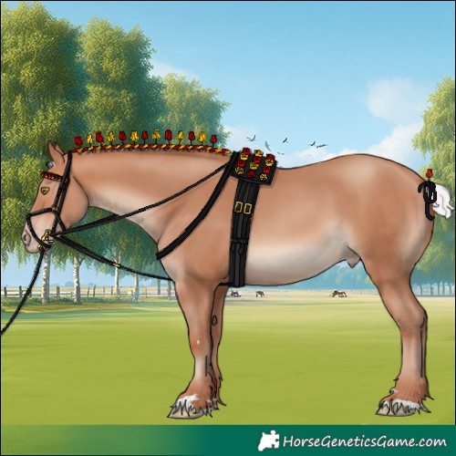 Horse Color:Silver Sable Champagne 