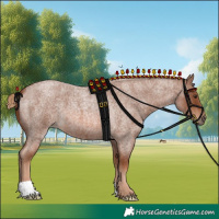 Horse Color:Red Roan 