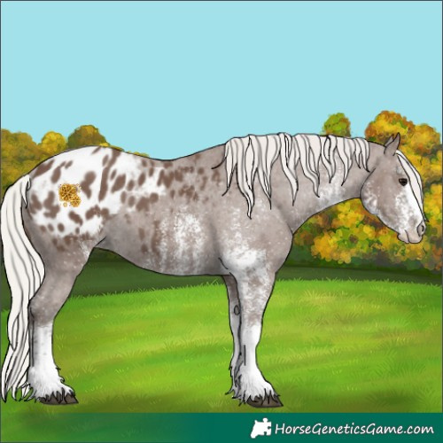 Horse Color:White Spotted Silver Black Blanket Rabicano 