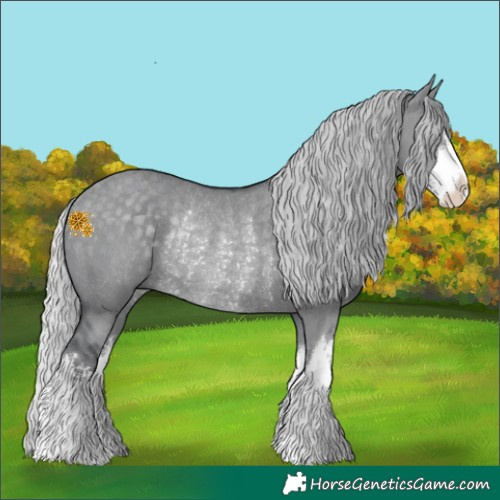 Horse Color:White Spotted Silver Grullo Chinchilla Rabicano