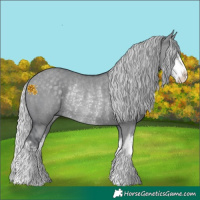 Horse Color:White Spotted Silver Grullo Chinchilla Rabicano