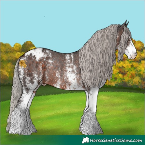 Horse Color:White Spotted Silver Brown Varnish Rabicano 