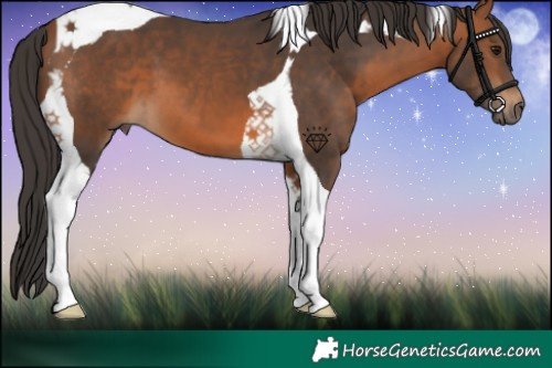 Horse Color:Bay Tobiano 