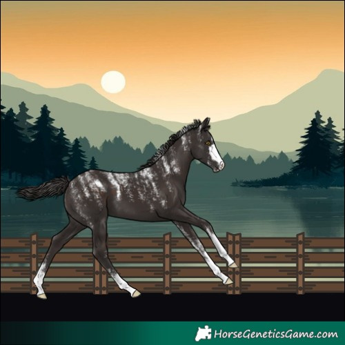 Horse Color:Powder White Liver Chestnut 