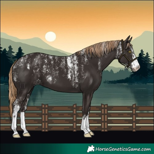 Horse Color:Powder White Liver Chestnut 