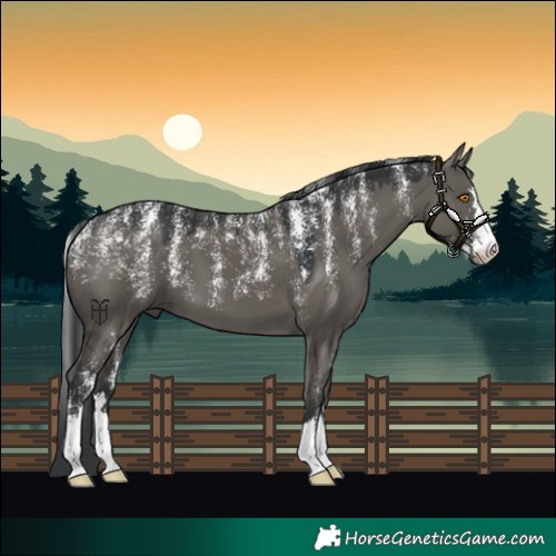 Horse Color:Powder White Grullo 