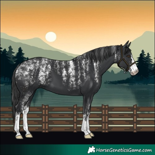 Horse Color:Powder White Black 