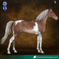 Horse Color:Silver Black Tobiano Appaloosa