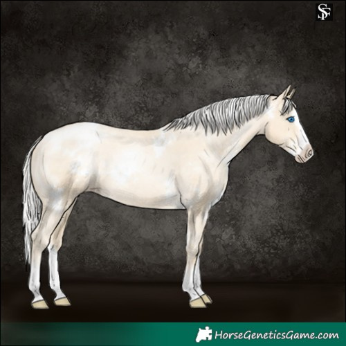 Horse Color:White Spotted Silver Sable Cream Champagne Pearl Splash Appaloosa 