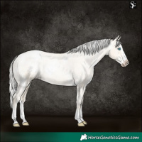 Horse Color:White Spotted Silver Sable Cream Champagne Pearl Splash Varnish 