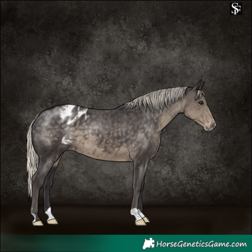 Horse Color:Silver Smoky Black Varnish 