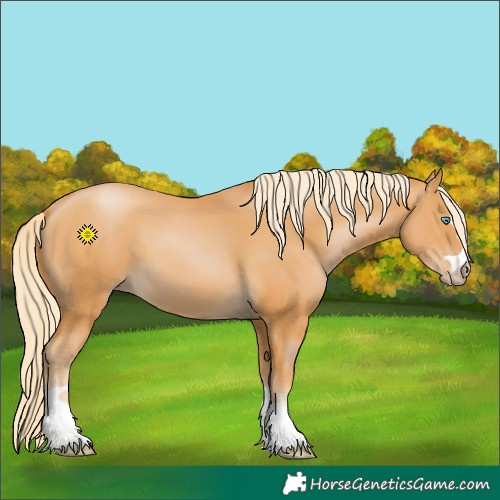Horse Color:Gray Palomino Pearl
