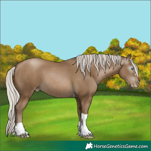 Horse Color:Gray Silver Smoky Black Pearl Tobiano