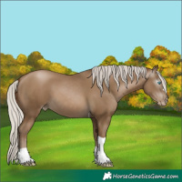 Horse Color:Gray Silver Smoky Black Pearl Tobiano 