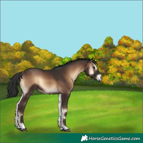 Horse Color:Liver Red Onyx