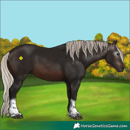 Horse Color:Gray Silver Brown Tobiano 