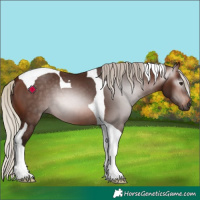Horse Color:Gray Silver Bay Tobiano