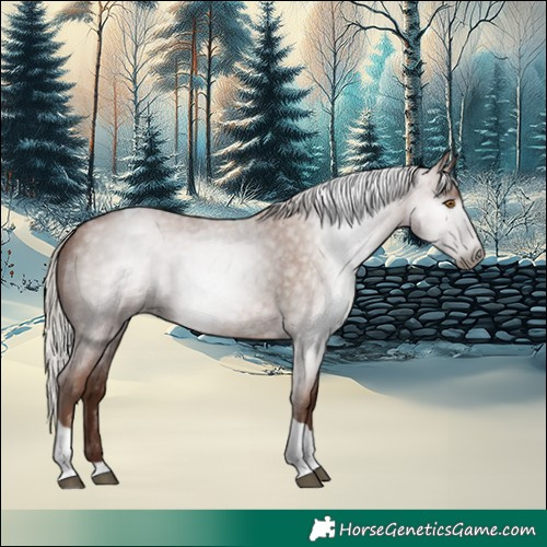 Horse Color:Gray Silver Blue Roan Pearl Tobiano 