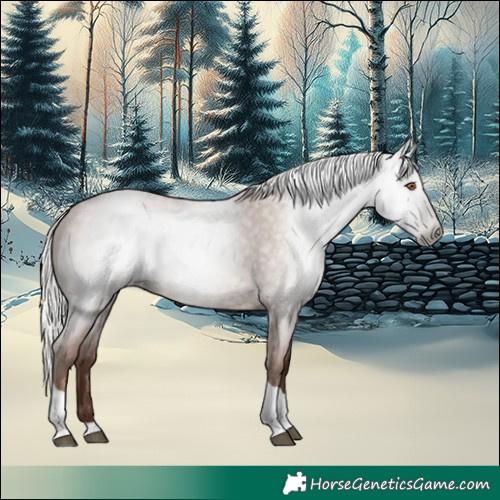Horse Color:Gray Silver Blue Roan Pearl Tobiano