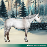 Horse Color:Gray Silver Blue Roan Pearl Tobiano