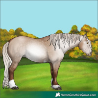 Horse Color:Gray Silver Grullo Pearl Tobiano
