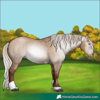 Horse Color:Gray Silver Grullo Pearl Tobiano 