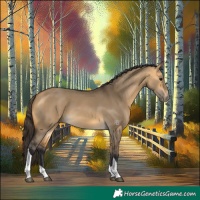 Horse Color:Buckskin Dun Tobiano 