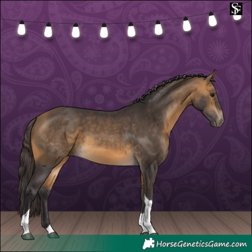 Horse Color:Buckskin Tobiano 