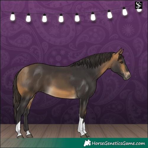 Horse Color:Buckskin Tobiano 