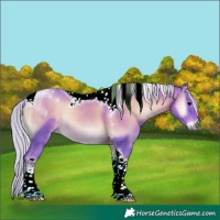 Horse Color:Watercolor Silver Blue Onyx Tobiano Rabicano 