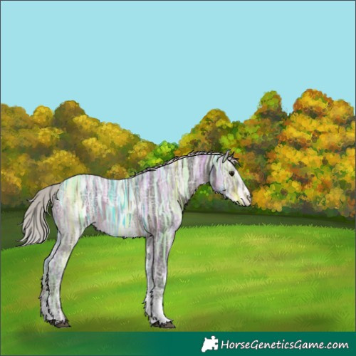 Horse Color:Silver Brown Ice Sabino 