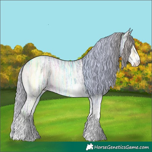 Horse Color:Silver Brown Ice Onyx Sabino 