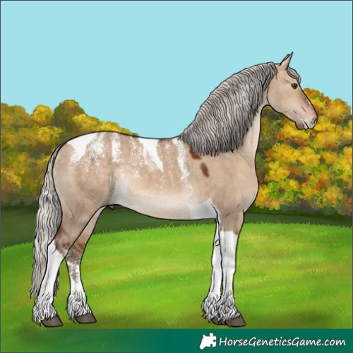 Horse Color:Powder White Silver Bay Dun Tobiano Rabicano 