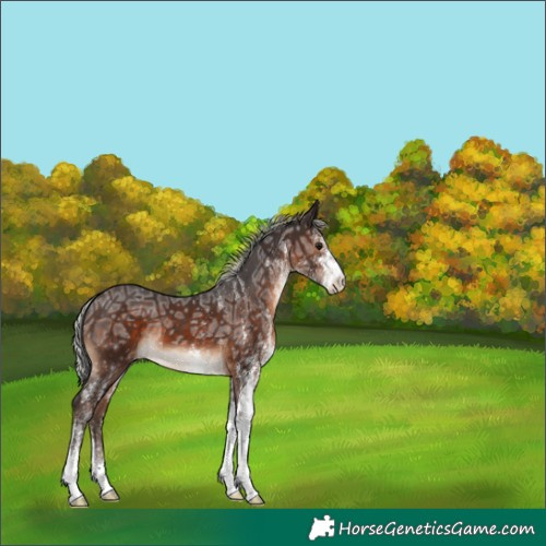 Horse Color:White Spotted Silver Brown Ice