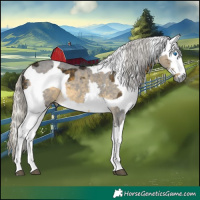 Horse Color:Silver Buckskin Merle 