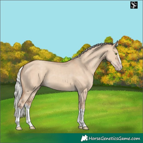 Horse Color:Silver Classic Champagne Dun Splash Frame 