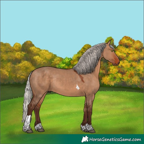 Horse Color:Silver Bay Dun Tobiano Rabicano