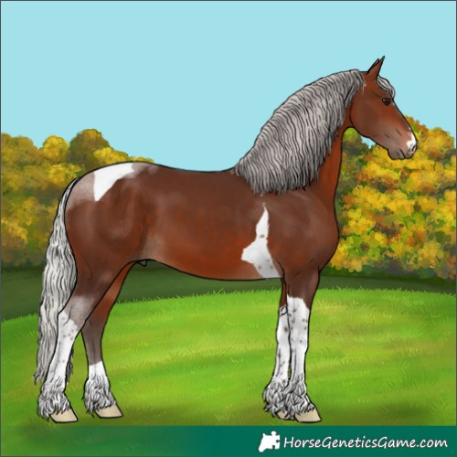 Horse Color:Silver Brown Tobiano 