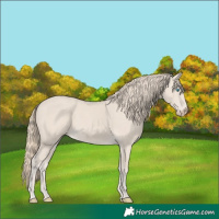 Horse Color:Smoky Creme 