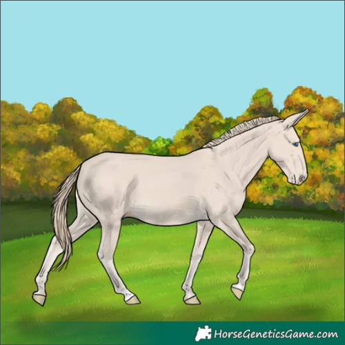 Horse Color:Smoky Creme 