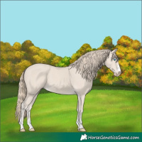 Horse Color:Smoky Creme